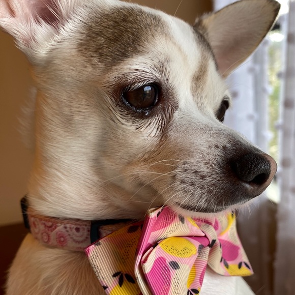 Meet your Posher, Amanda - Picture 11 of 11